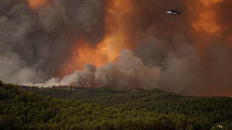 Ευρώπη: Πρώτη η Ιταλία σε Καμένες Δασικές Εκτάσεις, Δεύτερη η Ελλάδα