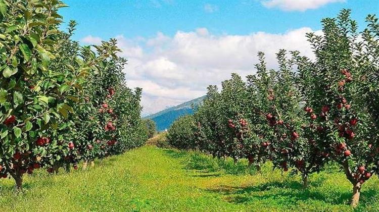 Καθηγητής Νάνος: Η Κλιματική Αλλαγή και το «Αντίδοτο» στα Προβλήματα που Προκαλεί στη Δενδροκομία