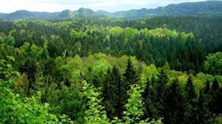 Πρόταση Κομισιόν για Νέους Κανόνες για τον Περιορισμό της Αποψίλωσης και της Υποβάθμισης των Δασών