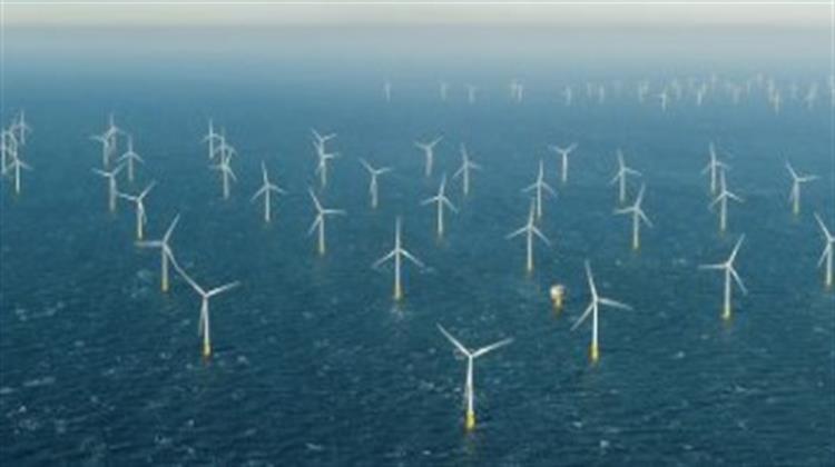 MEPs Call for Quick Deployment of Offshore Renewables to Meet EU Emission Targets