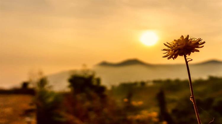 Μέχρι 5 Βαθμούς Κελσίου Η Αύξηση της Θερμοκρασίας στην Ελλάδα