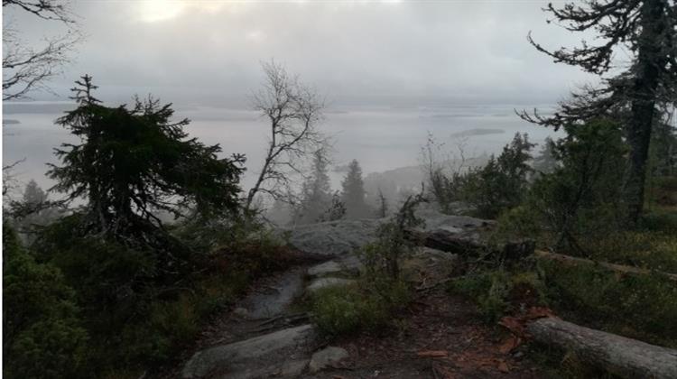 Εκνευρισμός στη Φινλανδία με τη Στρατηγική της ΕΕ για τη Βιοποικιλότητα