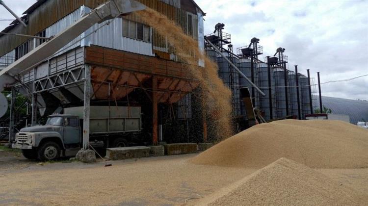 Τα Έσοδα από τις Εξαγωγές Ρωσικών Λιπασμάτων Αυξήθηκαν κατά 70% το 2022 Καθώς οι Τιμές Εκτινάχθηκαν