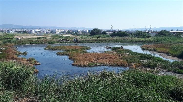 Νέες Μέθοδοι Απορρύπανσης στο Βάλτο της Δυτικής Θεσσαλονίκης