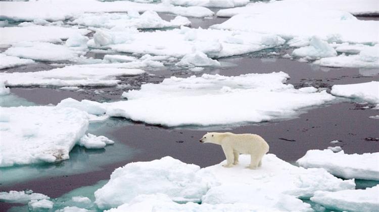 Ο Θαλάσσιος Πάγος της Αρκτικής Μειώθηκε σε Πάχος, Λόγω της Κλιματικής Αλλαγής