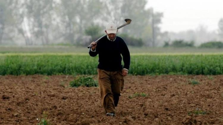 Eurostat: Η Καλλιεργήσιμη Γη στην Ελλάδα από τις Ακριβότερες στην ΕΕ
