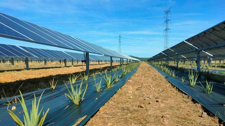 Enel: Αγροβολταϊκό 170 MW στην Ιταλία με Bifacial Panels