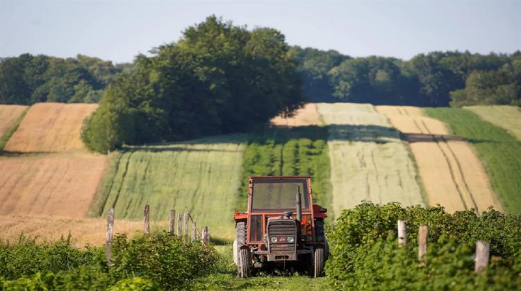 Πολωνία: Παραίτηση του Υπουργού Γεωργίας Εν Μέσω Οργής των Αγροτών για τις Εισαγωγές Ουκρανικών Σιτηρών