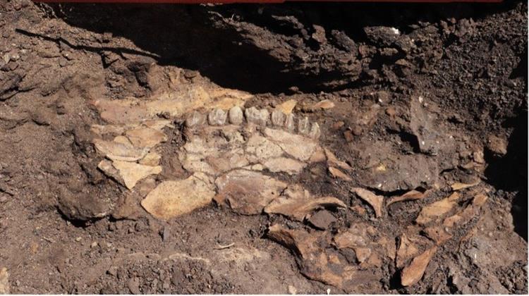 Μεγαλόπολη: Πέντε Νέες Παλαιολιθικές Θέσεις στην Περιοχή του Λιγνιτωρυχείου