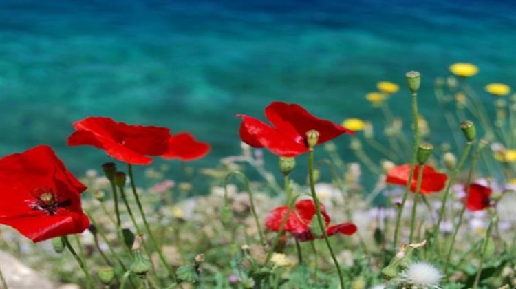 Meteo: Ο Φετινός Μάιος ο Πιο Ψυχρός των Τελευταίων 14 Ετών