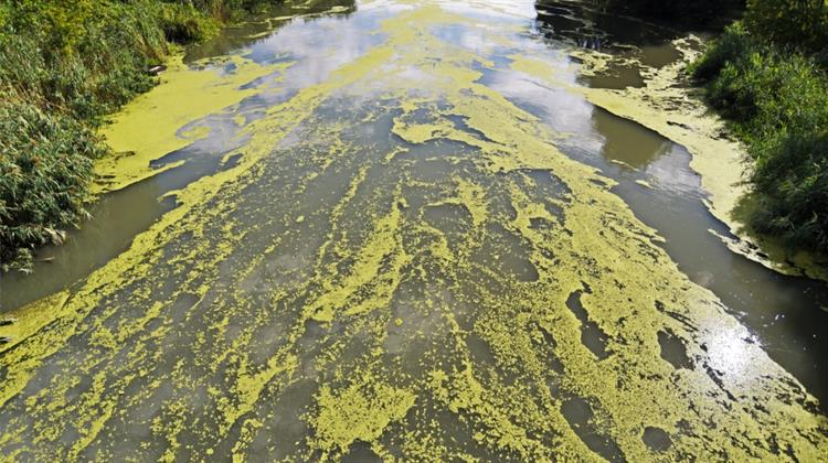 ΗΠΑ: Εταιρείες Χημικών Kαταβάλλουν 1,2 Δις Δολ. για να Αποτρέψουν Αγωγές για Υποθέσεις Μόλυνσης Νερού