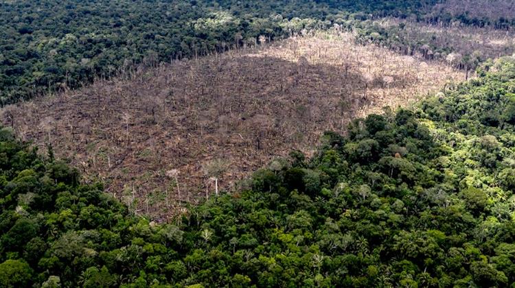 Η Αποψίλωση του Αμαζονίου Μειώνεται κατά 31% τους Πρώτους 5 Μήνες του Λούλα στην Προεδρία
