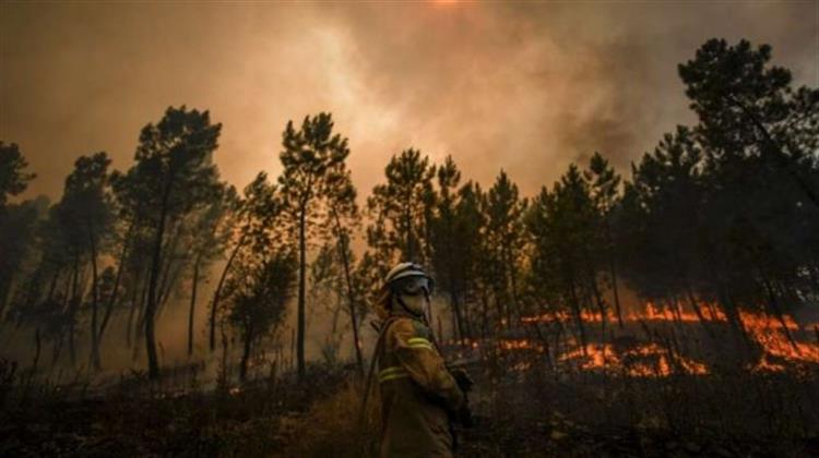 Ακριβό το Tίμημα των Πυρκαγιών για την Πορτογαλία