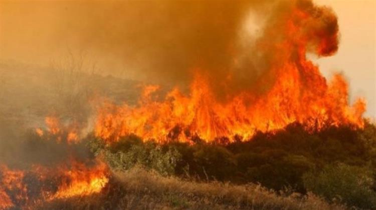 Ενώ Διευρύνονται τα Πύρινα Μέτωπα η ΕΥΠ Ερευνά την Ύπαρξη Οργανωμένου Σχεδίου