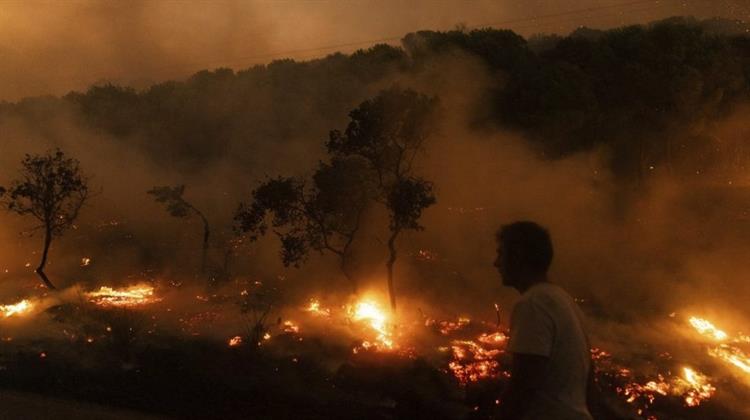 Σταύρος Λυγερός - Ποιοι Ευθύνονται για τις Πυρκαγιές (Video)