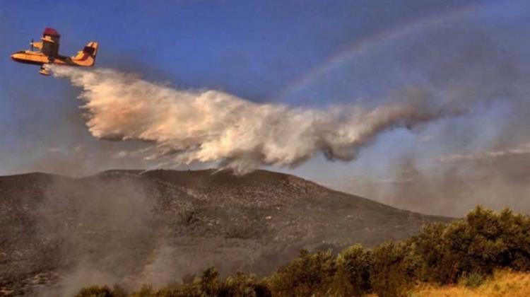 Δασοπυρόσβεση: Τι Πρέπει να Αλλάξει