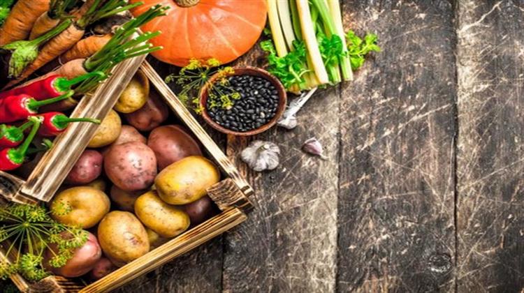 Ανοιχτή Επιστολή προς Κομισιόν: Μην Εγκαταλείπετε τα Βιώσιμα Διατροφικά Συστήματα