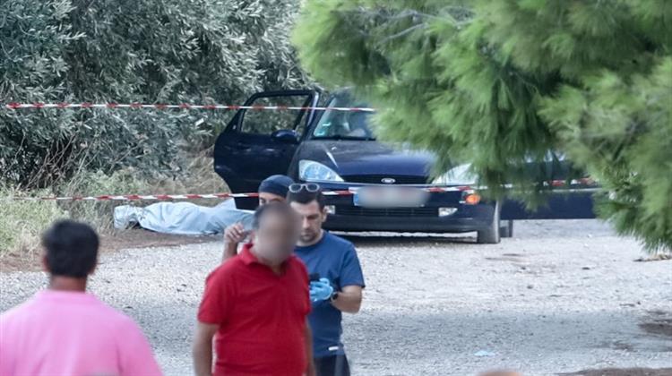 Τούρκοι «Σύνδεσμοι»