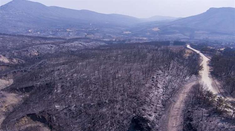 ΥΠΕΝ: Αναστολή Έργων και Έργασιών στην Πυρόπληκτη Δασική Περιοχή του Έβρου