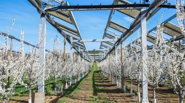 Η TotalEnergies Εξαγόρασε την Εταιρεία Αγροβολταϊκών Ombrea