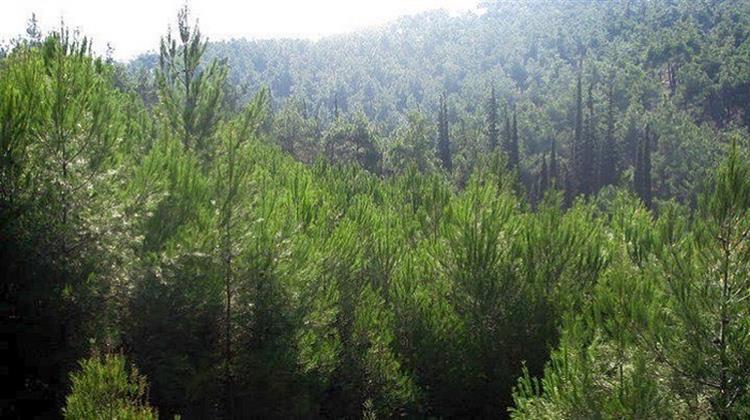 Σέρρες: Κινητό Σύστημα Ανίχνευσης Πυρκαγιών θα Εποπτεύει το Περιαστικό Δάσος
