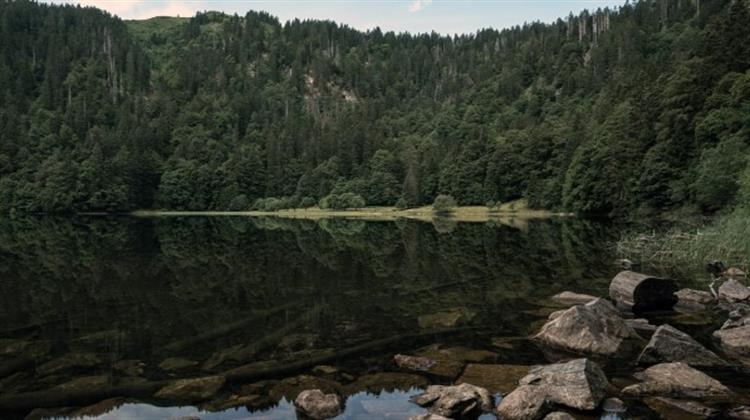 Ιστορική Συμφωνία για την Αποκατάσταση της Φύσης της Ευρώπης