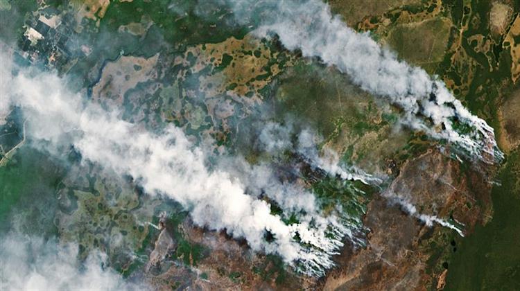 Σε Εμπρησμό Οφειλόταν Πυρκαγιά σε Εθνικό Πάρκο (UNESCO) της Αργεντινής