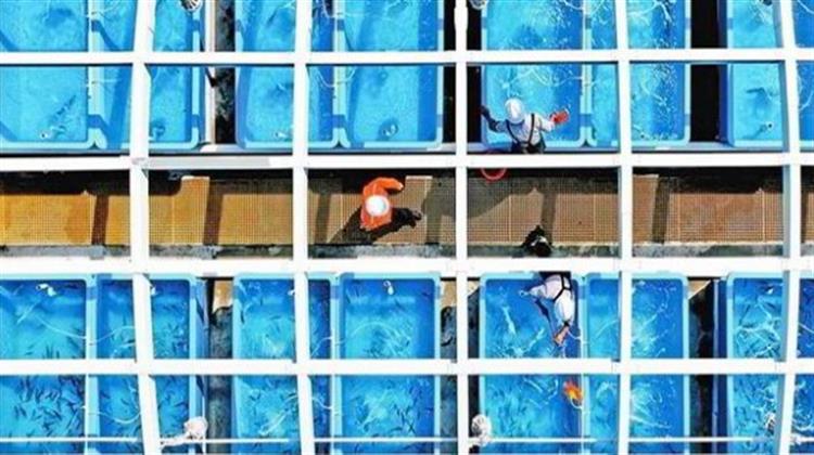 Κίνα: Πιλοτικό Πρόγραμμα Ιχθυοκαλλιέργειας με Ψυχρή Ενέργεια από LNG