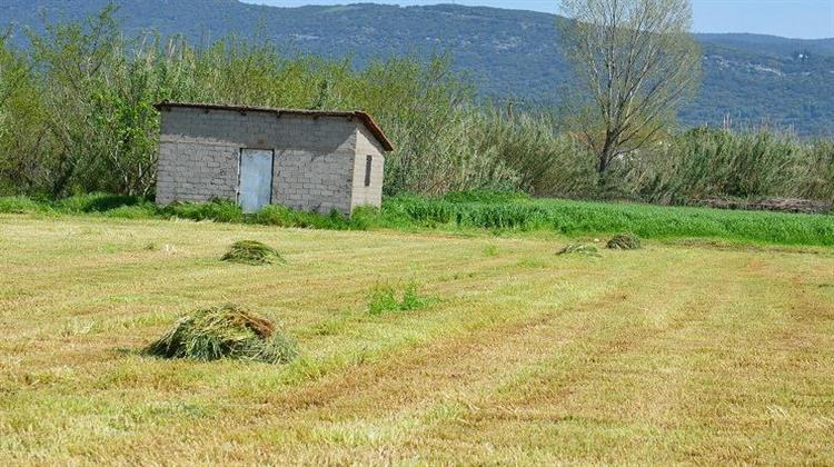 13 Ερωταπαντήσεις Από το ΥΠΕΝ για τα Μέτρα Μείωσης Κόστους στο Αγροτικό Ρεύμα