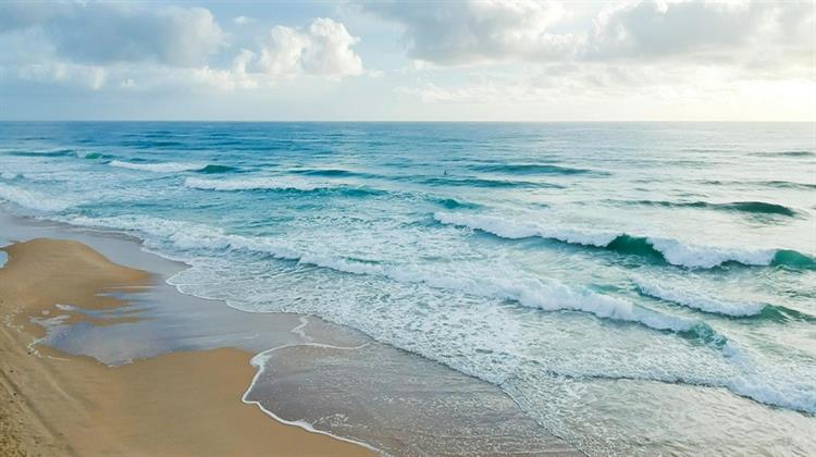 Απάντηση WWF σε Χατζηδάκη με Αφορμή το Νομοσχέδιο για την Παράκτια Ζώνη
