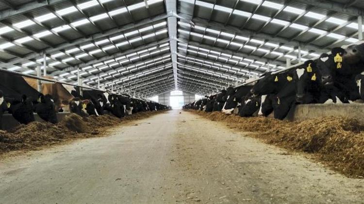 ΕΕ: Κανόνες για τη Μείωση της Ρύπανση Από τις Μεγάλες Κτηνοτροφικές Μονάδες