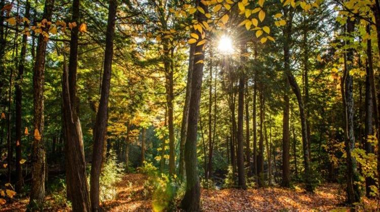 Θεσσαλονίκη: Τεχνολογία και Kαινοτομία, Πολύτιμοι Σύμμαχοι για την Προστασία της Βιοποικιλότητας
