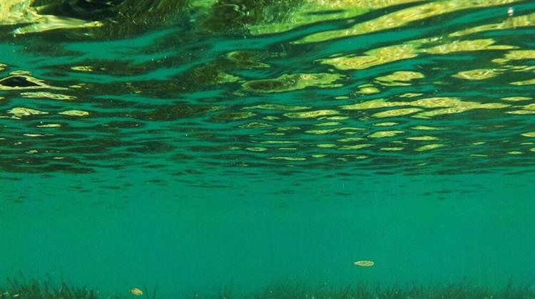 LIFE MareNatura - Το Μεγαλύτερο Πρόγραμμα για τη Θαλάσσια Βιοποικιλότητα στην Ελλάδα