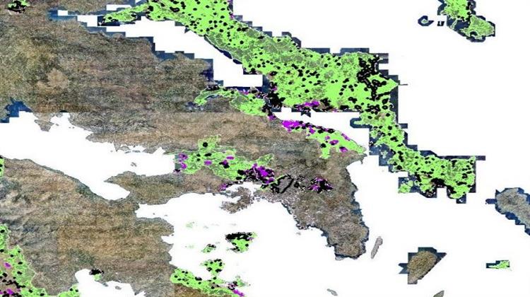 ΥΠΕΝ: Κατά Προτεραιότητα η Εξέταση για τα Αποδεκτά Αιτήματα Προδήλων Σφαλμάτων