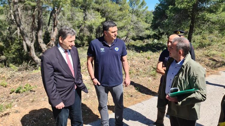 Επίβλεψη Εργων Πρόληψης και Αντιπυρικής Προστασίας στην Δ. Αττική