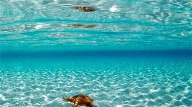 Προστασία Θαλάσσιου Περιβάλλοντος Χωρίς Εθνική Στρατηγική