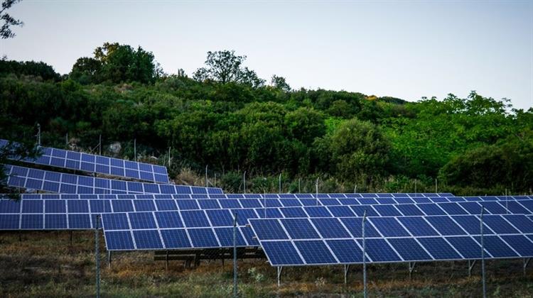 Σε Δημόσια Διαβούλευση Από τον ΥΠΕΝ το Σχέδιο Υπουργικής Απόφασης για τις Απαιτήσεις Φύτευσης σε Φ/Β Σταθμούς