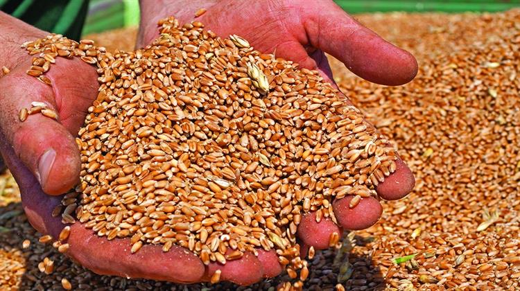 Η Ρωσία Ελέγχει Πιο Πολύ την Αγορά Σιτηρών