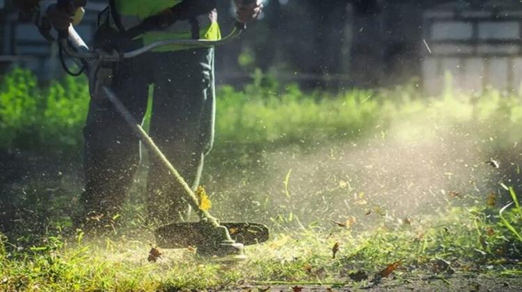 Παρατείνεται Έως τις 30 Ιουνίου η Προθεσμία για τις Δηλώσεις Καθαρισμού Οικοπέδων