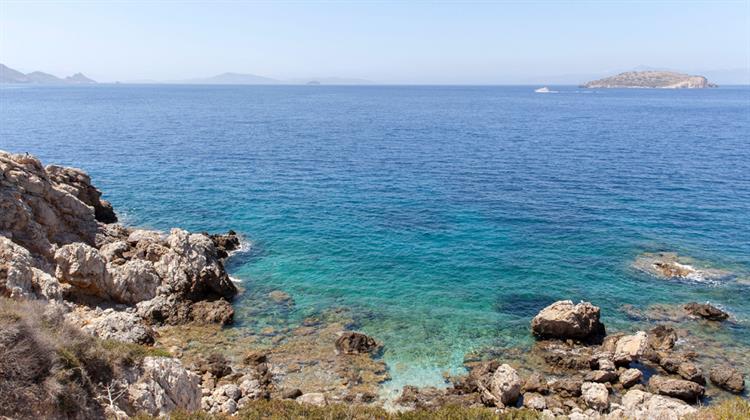 Ενταφίασαν τα Θαλάσσια Πάρκα - Είχαν Απευθείας Διάλογο για τις «Γκρίζες Ζώνες»