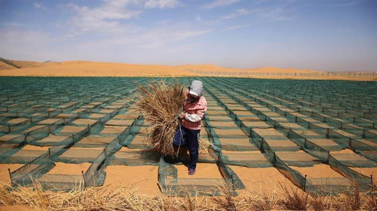 Κίνα: Αναδασώσεις και Γρασίδι κατά των Συνθηκών Ερημοποίησης μεγάλων Εκτάσεων