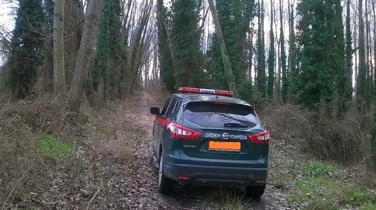 45 Ευρώ Αύξηση στο Επίδομα Επικίνδυνης και Ανθυγιεινής Εργασίας στους Εργαζόμενους των Δασικών Υπηρεσιών