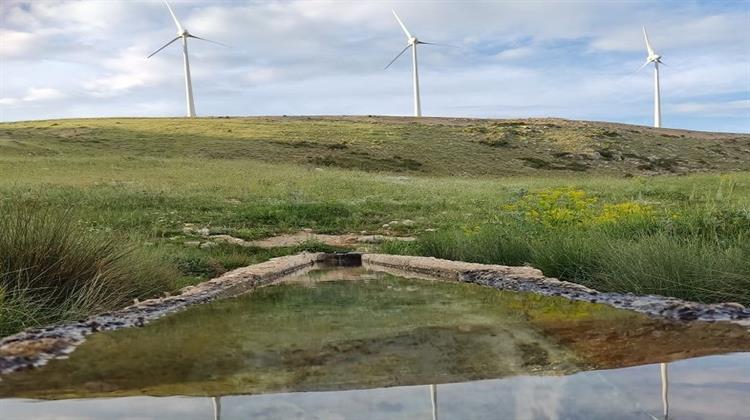 Τα Τρία «Κλειδιά» για Βιώσιμη Πράσινη Μετάβαση Παρουσίασαν ΕΣΗΑΠΕ και η ΕΛΕΤΑΕΝ