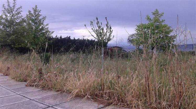 Υπουργείο Κλιματικής Κρίσης και Πολιτικής Προστασίας: Παράταση Υποβολής Δηλώσεων Καθαρισμού Οικοπέδων ως τις 15 Ιουλίου