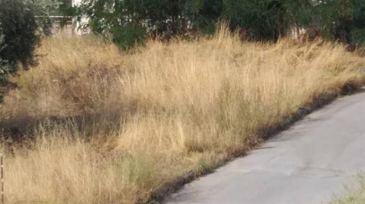 Πάνω από Μισό Εκατομμύριο οι Δηλώσεις για τα Ακαθάριστα Οικόπεδα