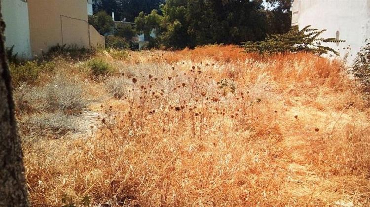 Ξεπέρασαν τις 620.000 οι Δηλώσεις για Καθαρισμούς Οικοπέδων