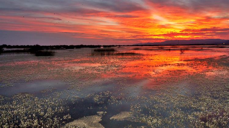 Έβρος: Περιβαλλοντική Κρίση Λόγω Λειψυδρίας
