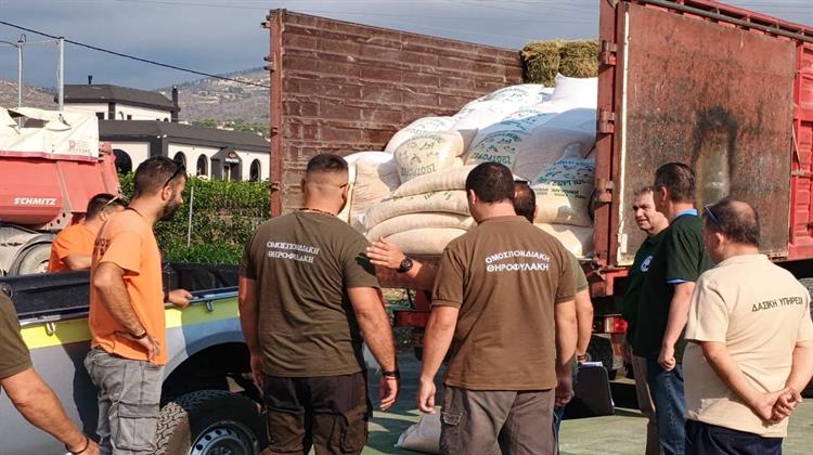 Βοήθεια για τα ζώα των πυρόπληκτων περιοχών από το ΥΠΕΝ και τις κυνηγετικές οργανώσεις