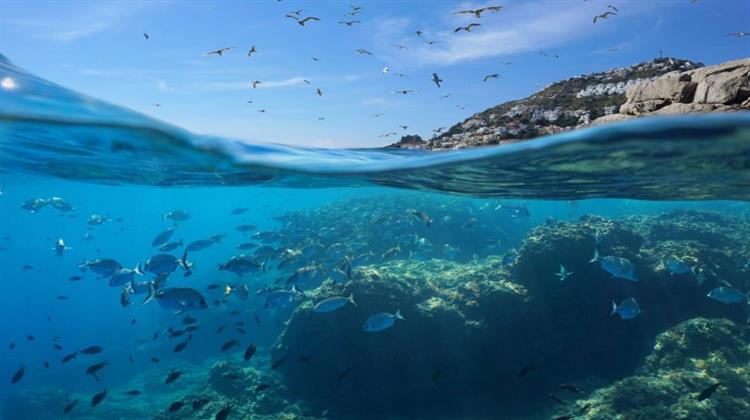 WWF: Χωρίς… Προστασία οι Θαλάσσιες Προστατευόμενες Περιοχές στην Ελλάδα