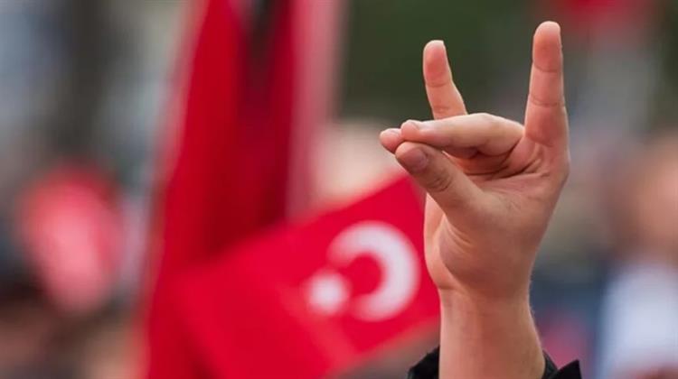 Γκρίζοι λύκοι, άσπροι λύκοι…